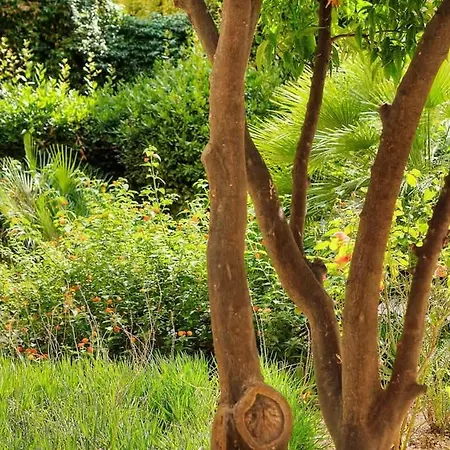 Marigold - 2 Bed 2 Bath - Ac - 8 Min From Palais カンヌ